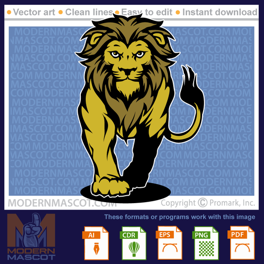 Lion Stalking - lion_24_01