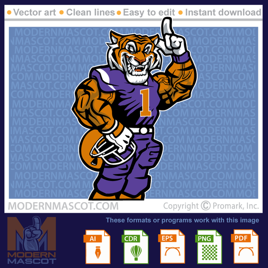 Tiger Football - tiger_23_football_24