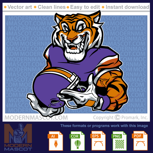 Tiger Football Helmet - tiger_23_football_24