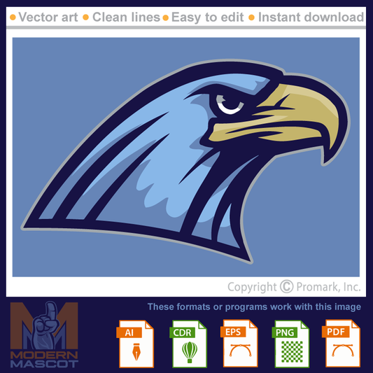 Eagle Head 9 - eagle_22_14