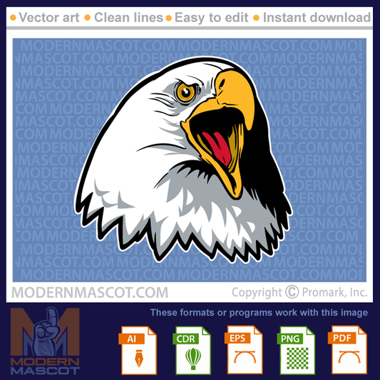 Eagle Head 34 - eagle_23_34