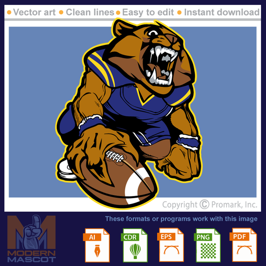 Wolverine Football 1 - wolverine_22_football_01