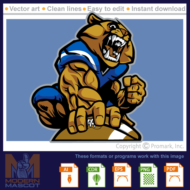 Wolverine Football 5 - wolverine_22_football_05