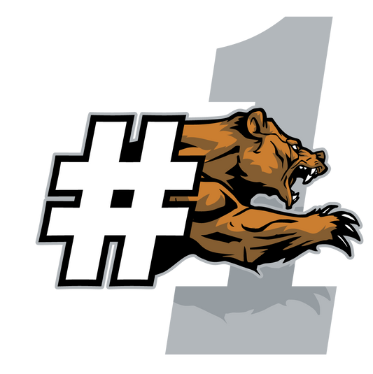 Bear number 1 - bear_03_22_DC_01