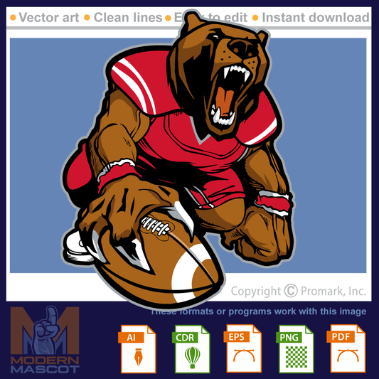 Bear Football- bear_22_football_01