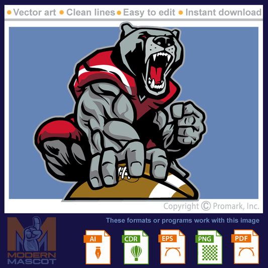 Bear Football 07 - bear_22_football_07