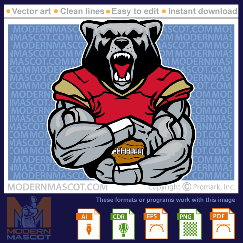 Bear with Football - bear_23_football_11