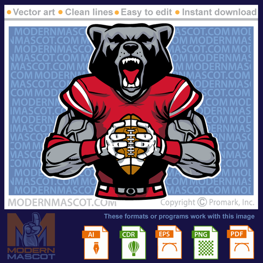 Bear with Football - bear_23_football_12