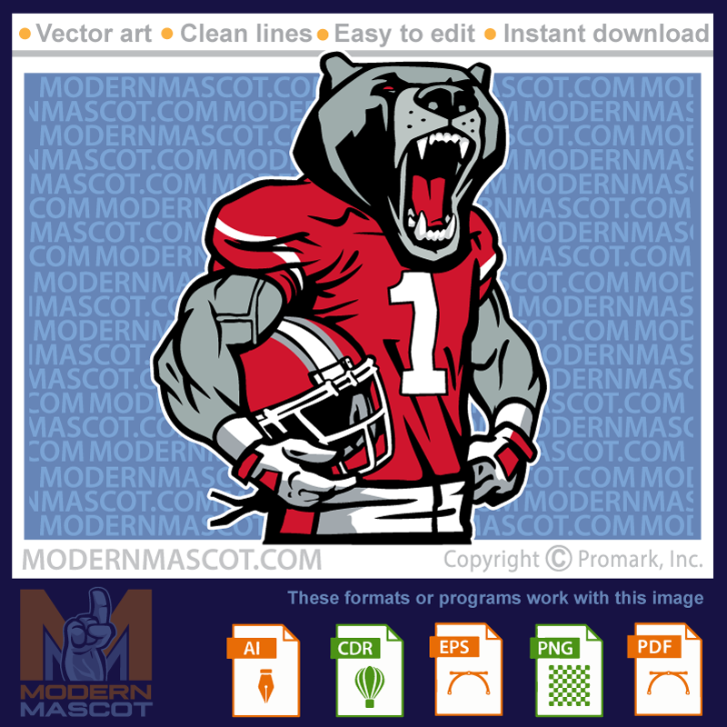 Bear Football Player - bear_23_football_18