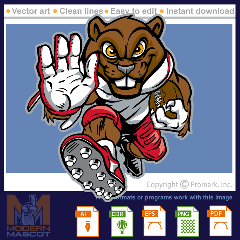 Beaver Football 1 - beaver_22_football_01