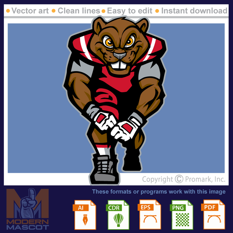 Beaver Football 4 - beaver_22_football_04