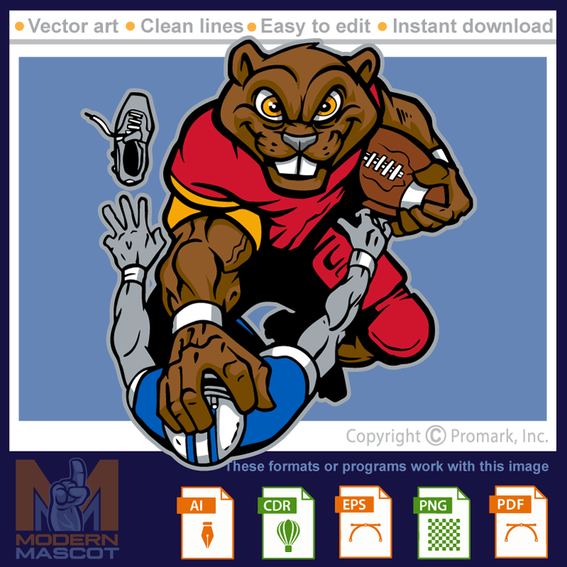 Beaver Football 6 - beaver_22_football_06