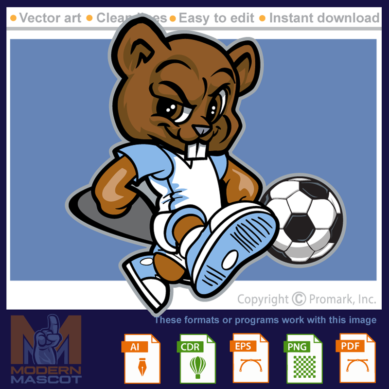 Beaver Soccer 1 - beaver_22_soccer_01