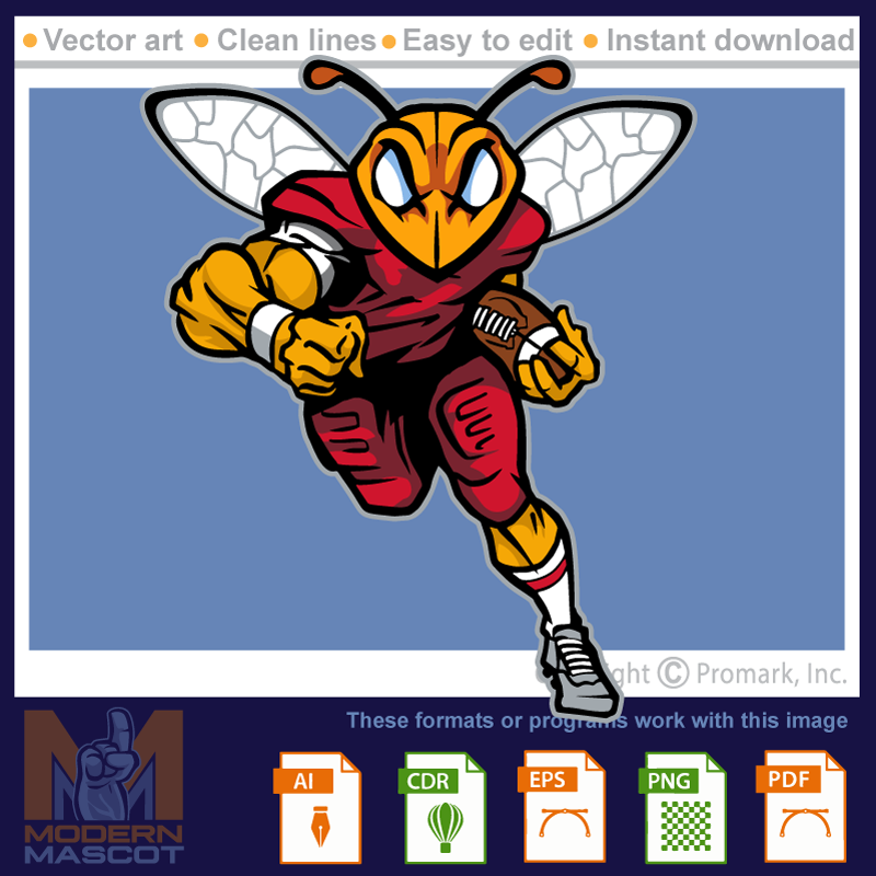 Bees Football 7 - bee_22_football_07