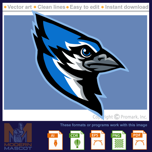 Bluejay Head 2 - bluejay_22_02