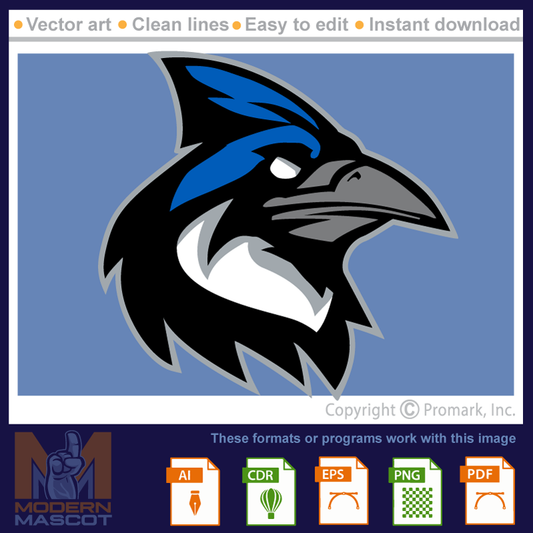 Bluejay Head 3 - bluejay_22_03