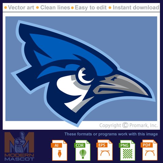 Bluejay Head 4 - bluejay_22_04