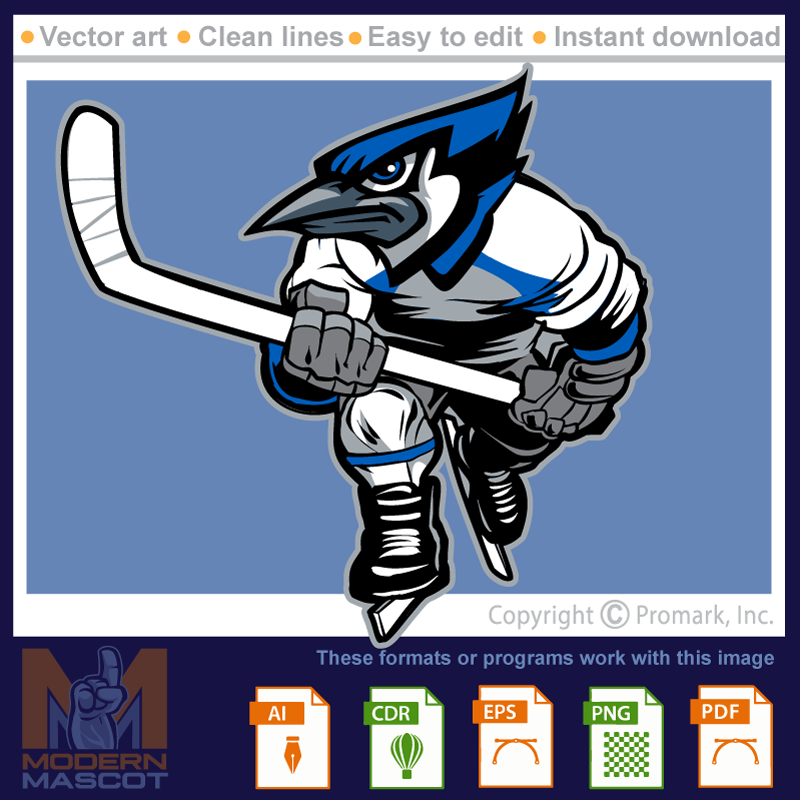 Bluejay Hockey 2 _bluejay_22_hockey_02
