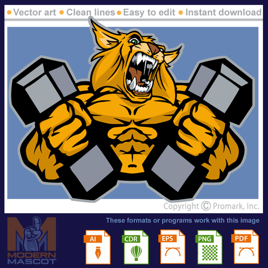 Bobcat Muscle - bobcat_22_fitness_01