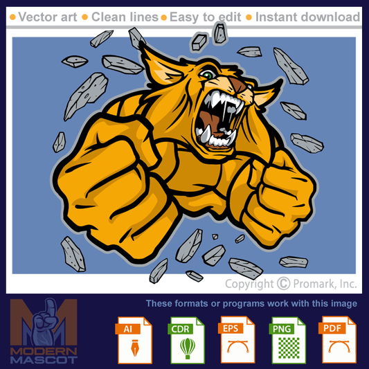 Bobcat Muscle - bobcat_22_muscle_01