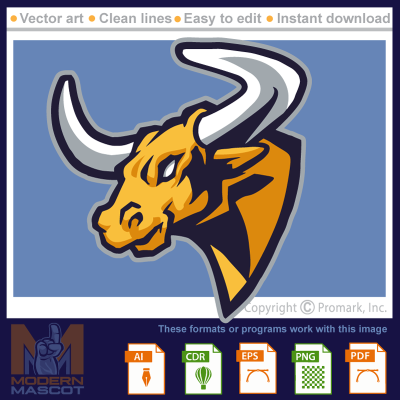 Bull Head Long Horn - bull_22_05