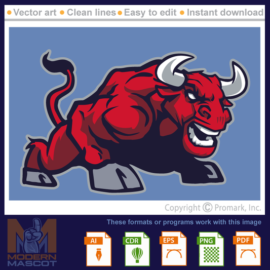 Bull Charging - bull_22_07