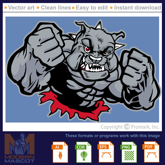 Bulldog Fitness 4 - bulldog_22_fitness_04