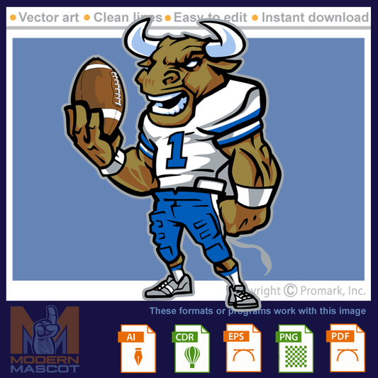 Bull Football 2 - bulls_22_football_02