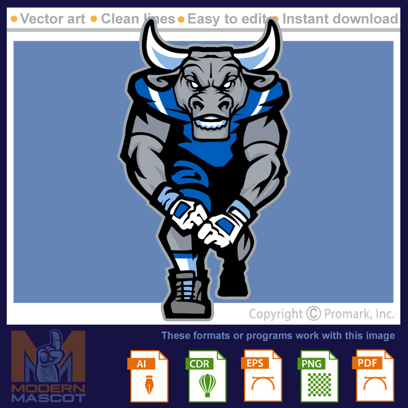 Bull Football 3 - bull_22_football_03