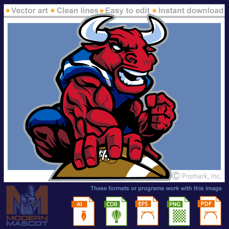 Bull Football 4- bulls_22_football_04