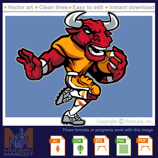 Bull Football 5 - bulls_22_football_05
