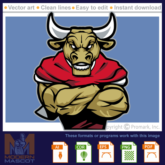 Bull Football 6 - bull_22_football_06