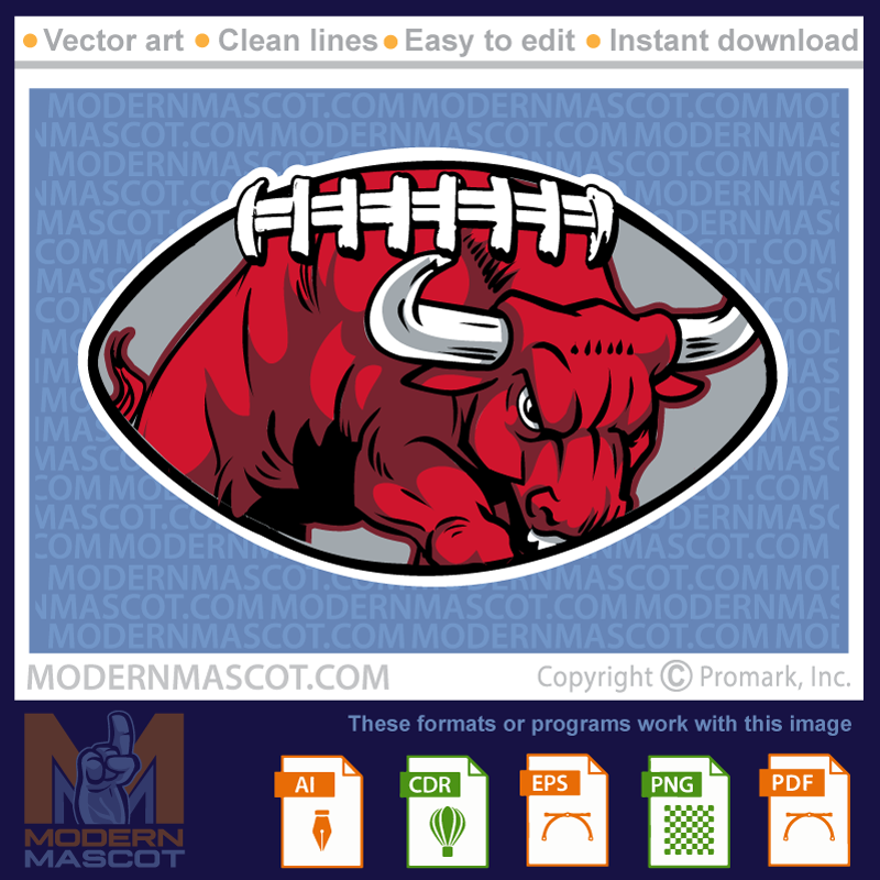 Bull Football - bulls_23_football_08