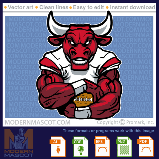 Bull Football - bulls_23_football_09