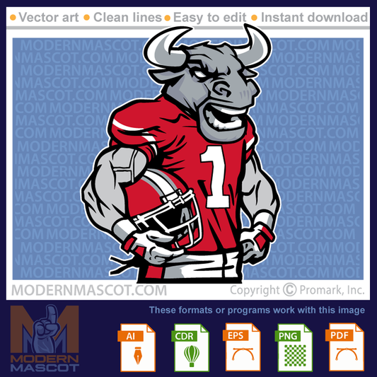Bull Football - bulls_23_football_11