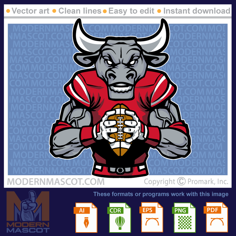 Bull Football - bulls_23_football_13