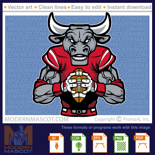 Bull Football - bulls_23_football_13