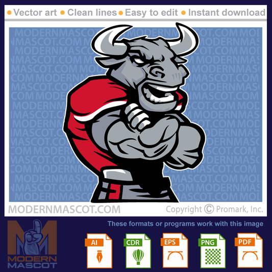 Bull Football - bulls_23_football_16