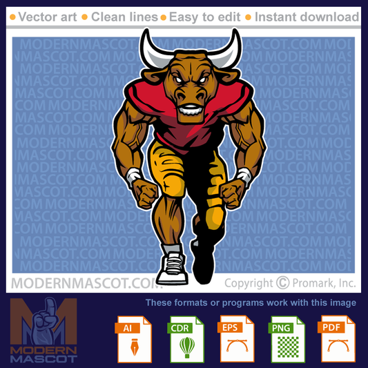Bull Football - bulls_23_football_17