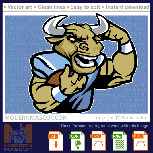 Bull Football - bulls_23_football_21