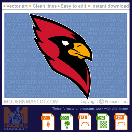 Cardinal Head - cardinal_22_08