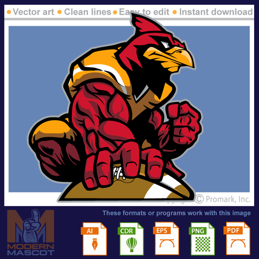 Cardinal Football 1 -cardinal_22_football_01