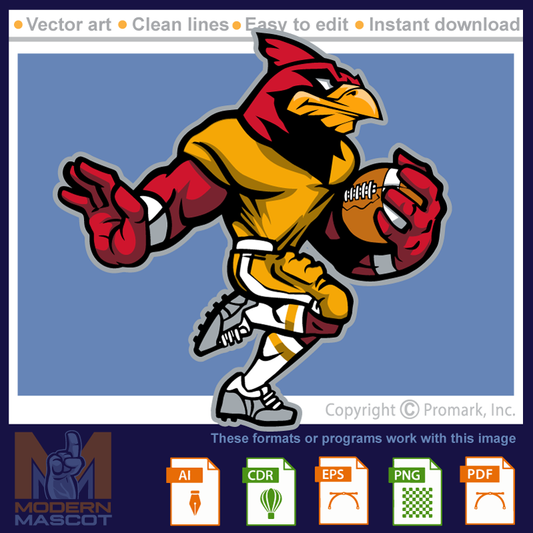 Cardinal Football 2 - cardinal_22_football_02