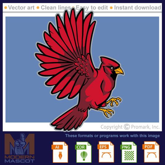Cardinal Full - cardinal_22_full_07