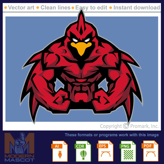 Cardinal Muscle 01 - cardinal_22_muscle_01