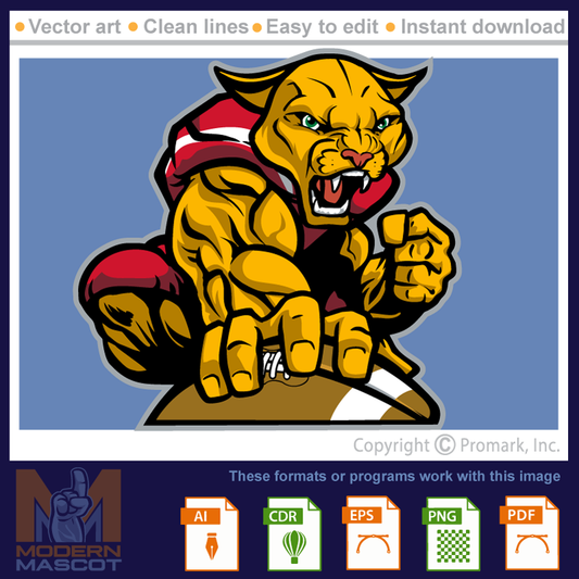Cougar Football 6- cougar_22_football_06
