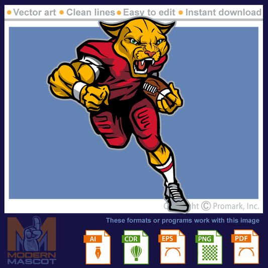 Cougar Football 11 - cougar_22_football_11
