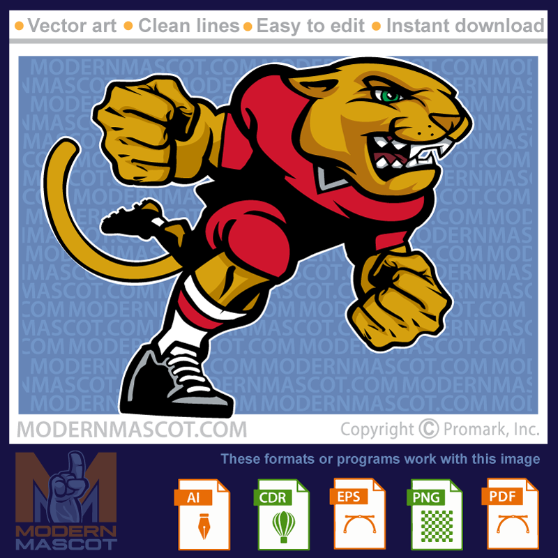 Cougar Football - cougar_23_football_24