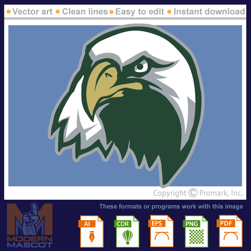 Eagle Head 1 - eagle_22_01