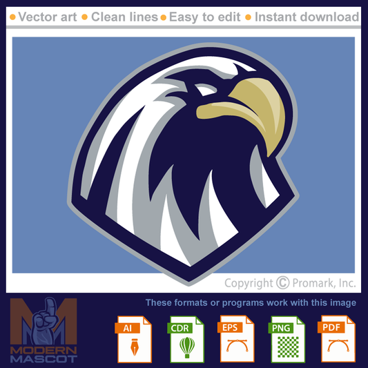 Eagle Head 4 - eagle_22_04